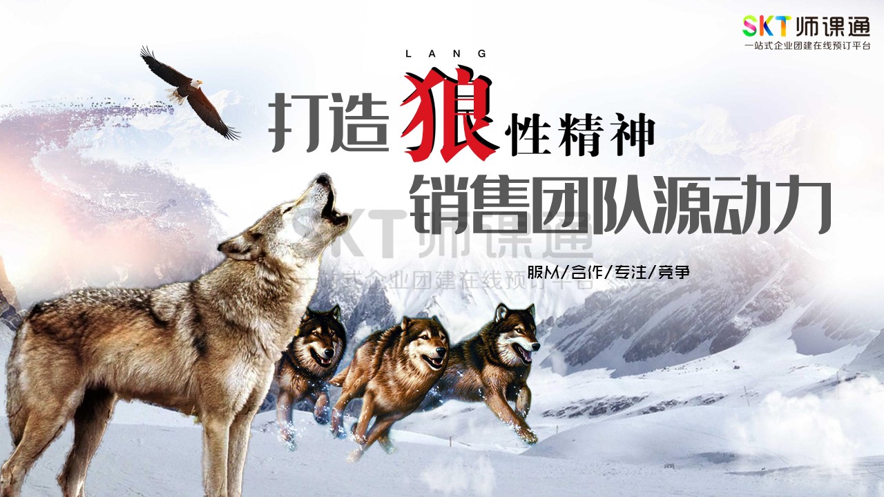 【3天2夜】打造狼性精神 销售团队源动力特训营