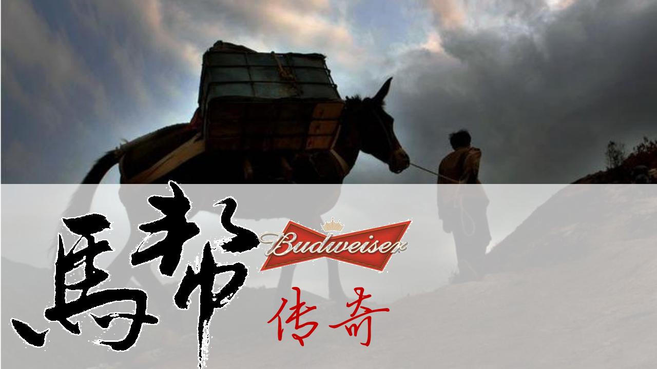 【4天3夜】茶马古道-重走茶马古道 演绎马帮传奇